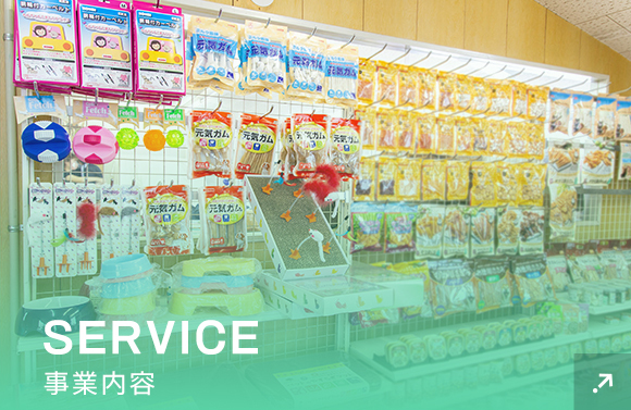 SERVICE 事業内容